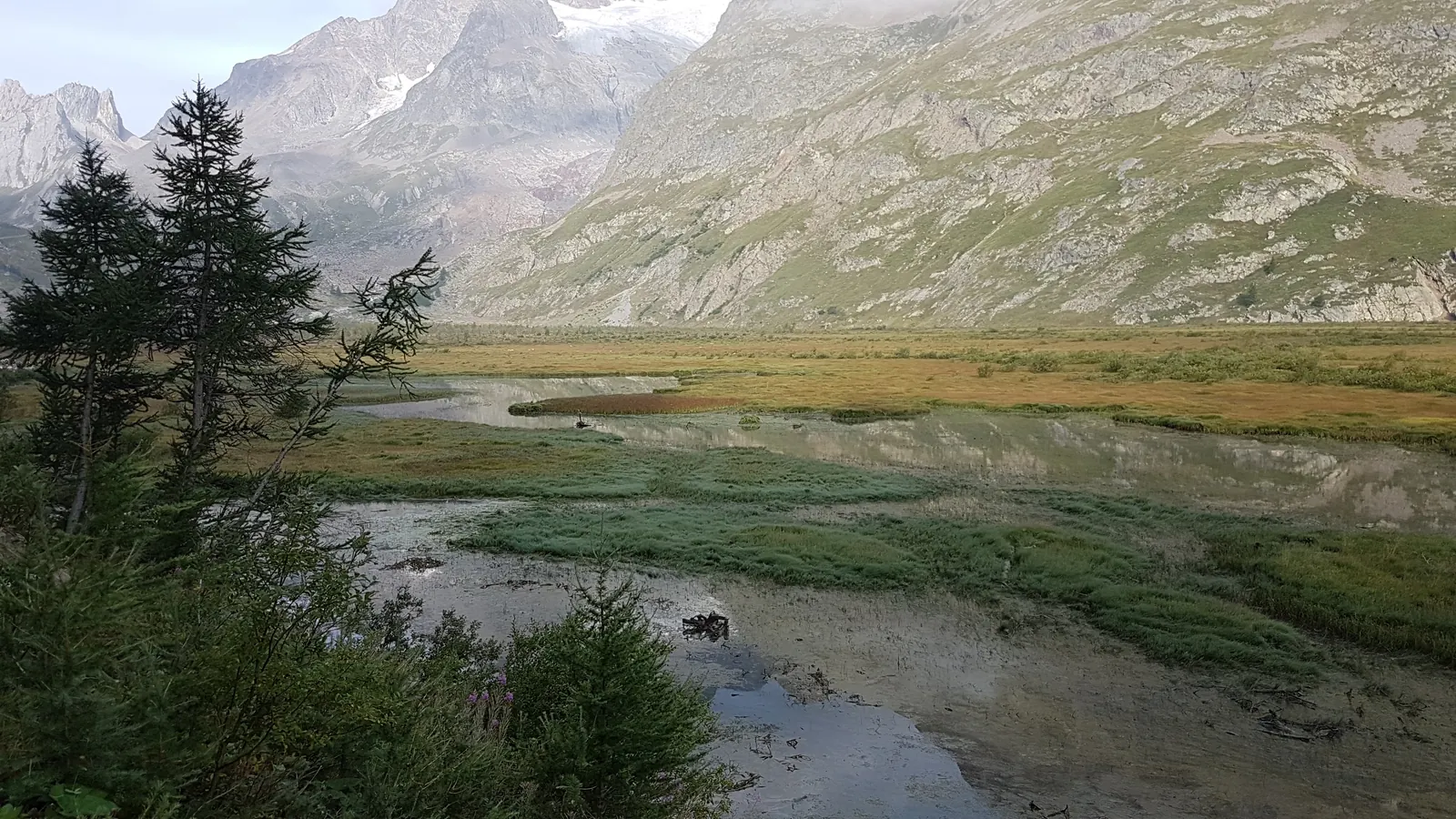Vallée alpine traversée par un ruisseau.
